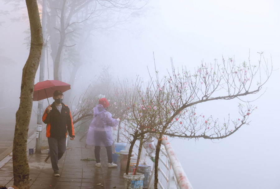 Thời tiết hôm nay (5-2): Bắc Bộ có sương mù, đêm và sáng trời rét