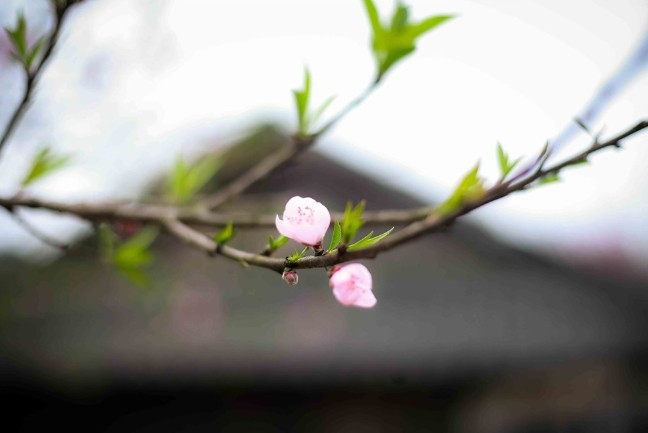 Thời tiết hôm nay (7-2): Miền Bắc mưa nhỏ, miền Nam trời nắng