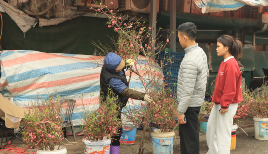 Nhật Tân mùa hoa đào nở