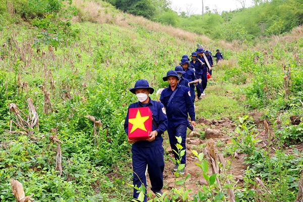 Đẩy nhanh tiến độ, tiến hành đồng bộ giải pháp