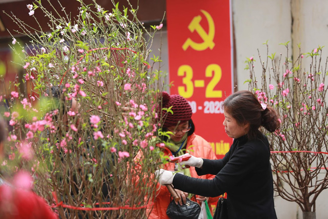 Từ ngày 10-2, miền Bắc chấm dứt rét đậm, trời ấm vào dịp Tết