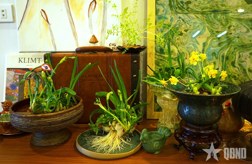 Hoa thủy tiên gọi Tết về