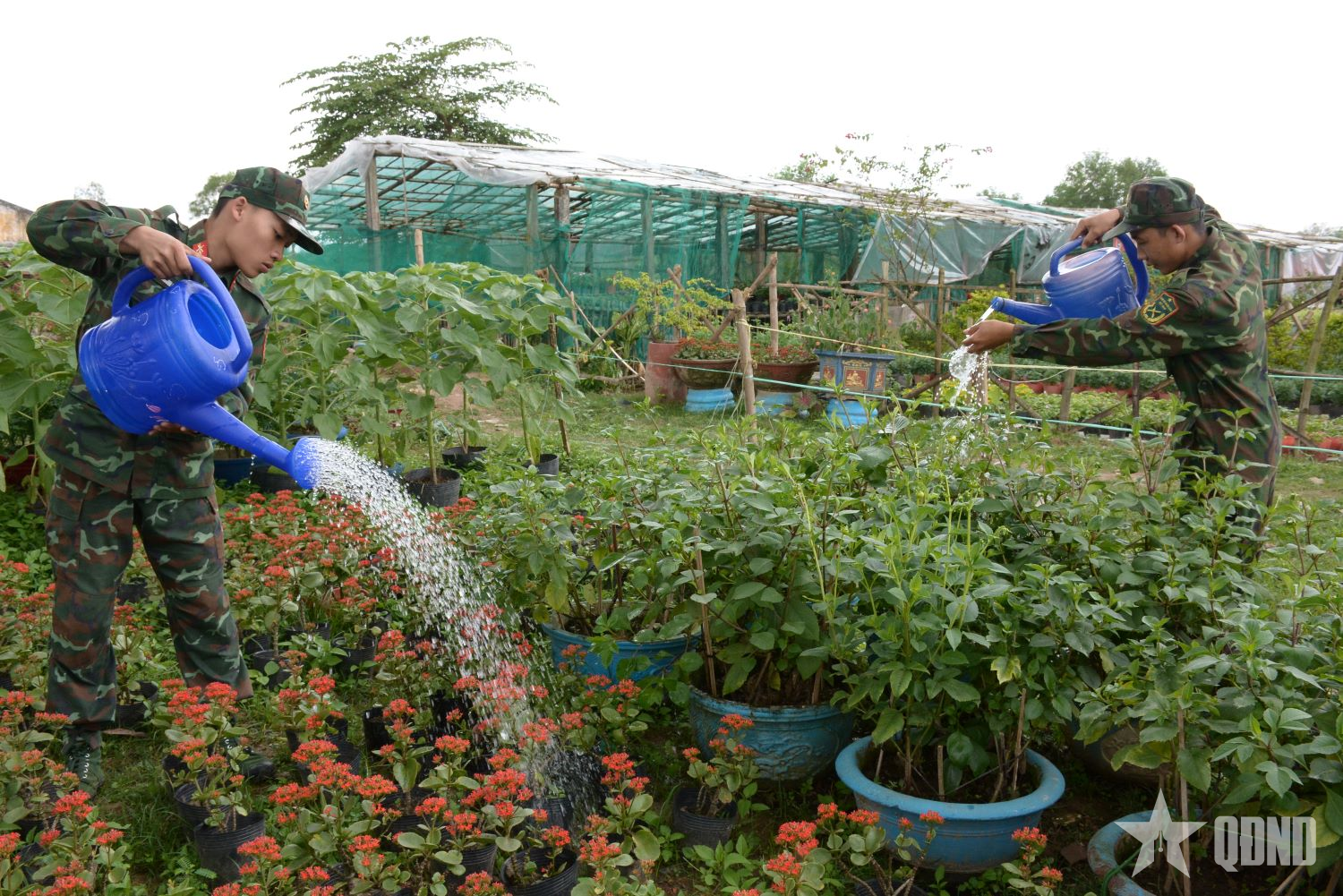 Thân thương Tết lính 