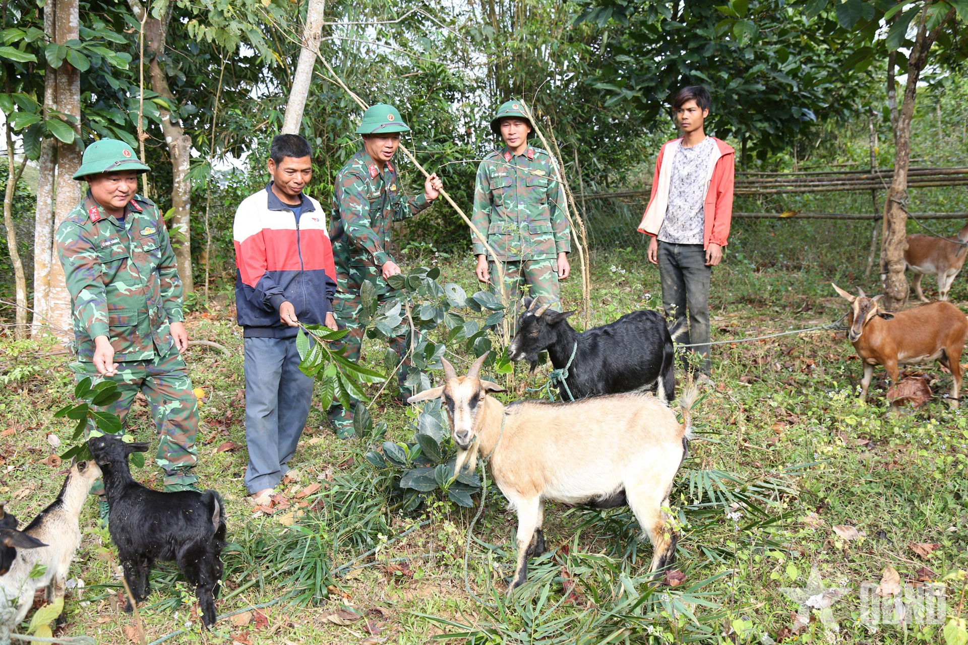 Về chung một nhà