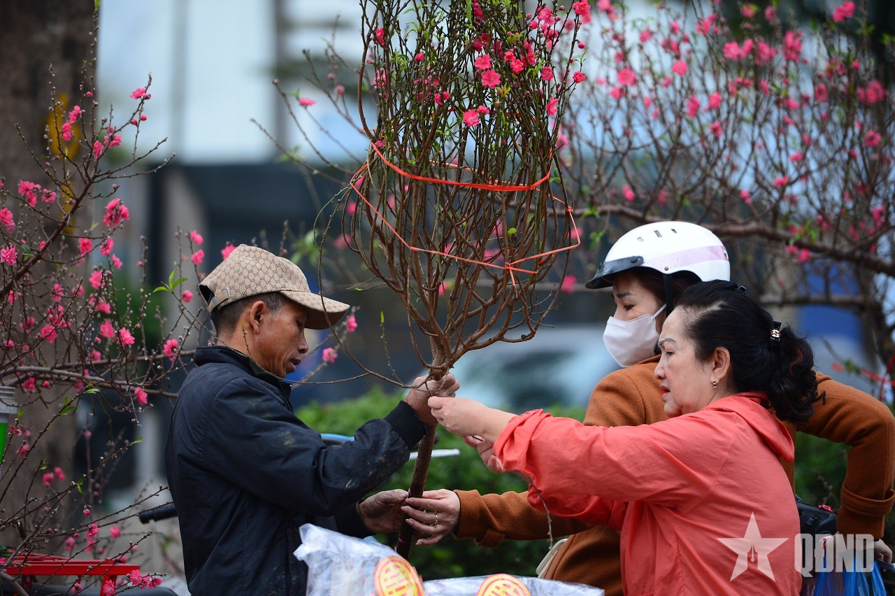 Người Hà Nội hối hả “mang” Tết về nhà