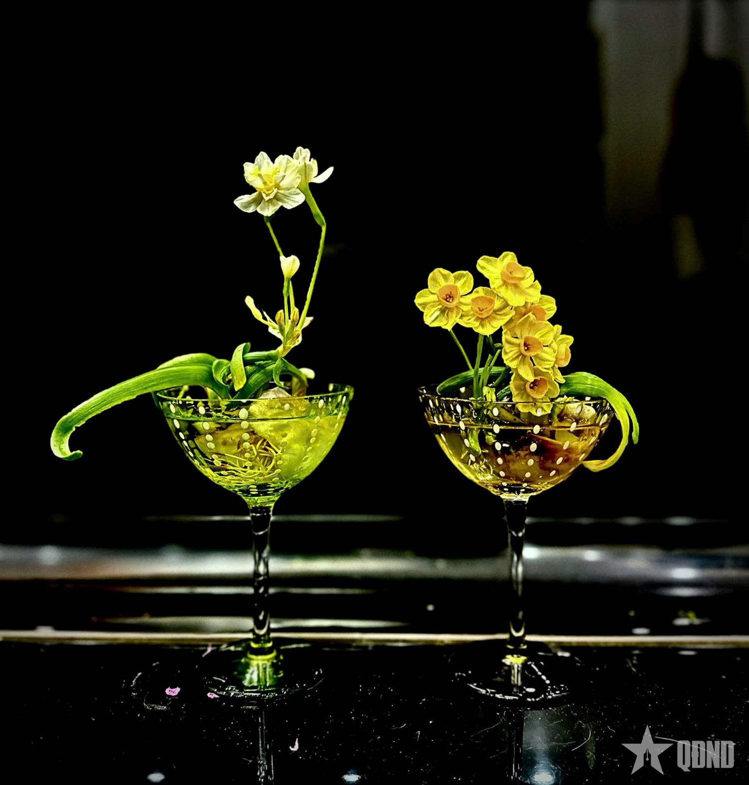 Hoa thủy tiên, biểu tượng văn hóa còn mãi

