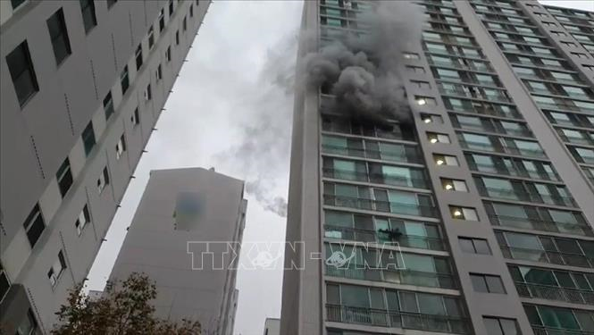 Hàn Quốc: Cháy chung cư ở Busan, 2 người thiệt mạng

