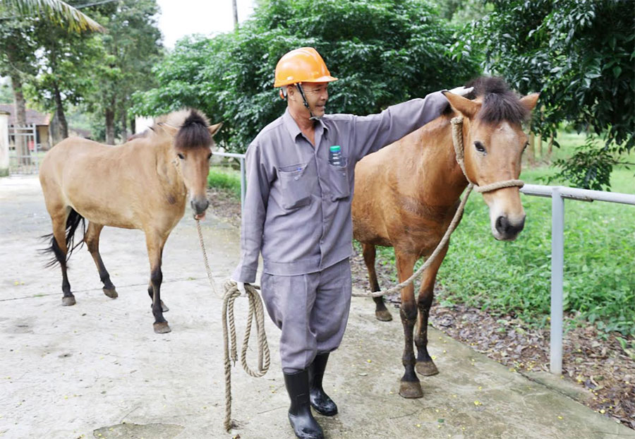 Những “chiến binh thầm lặng” hiến máu cứu người