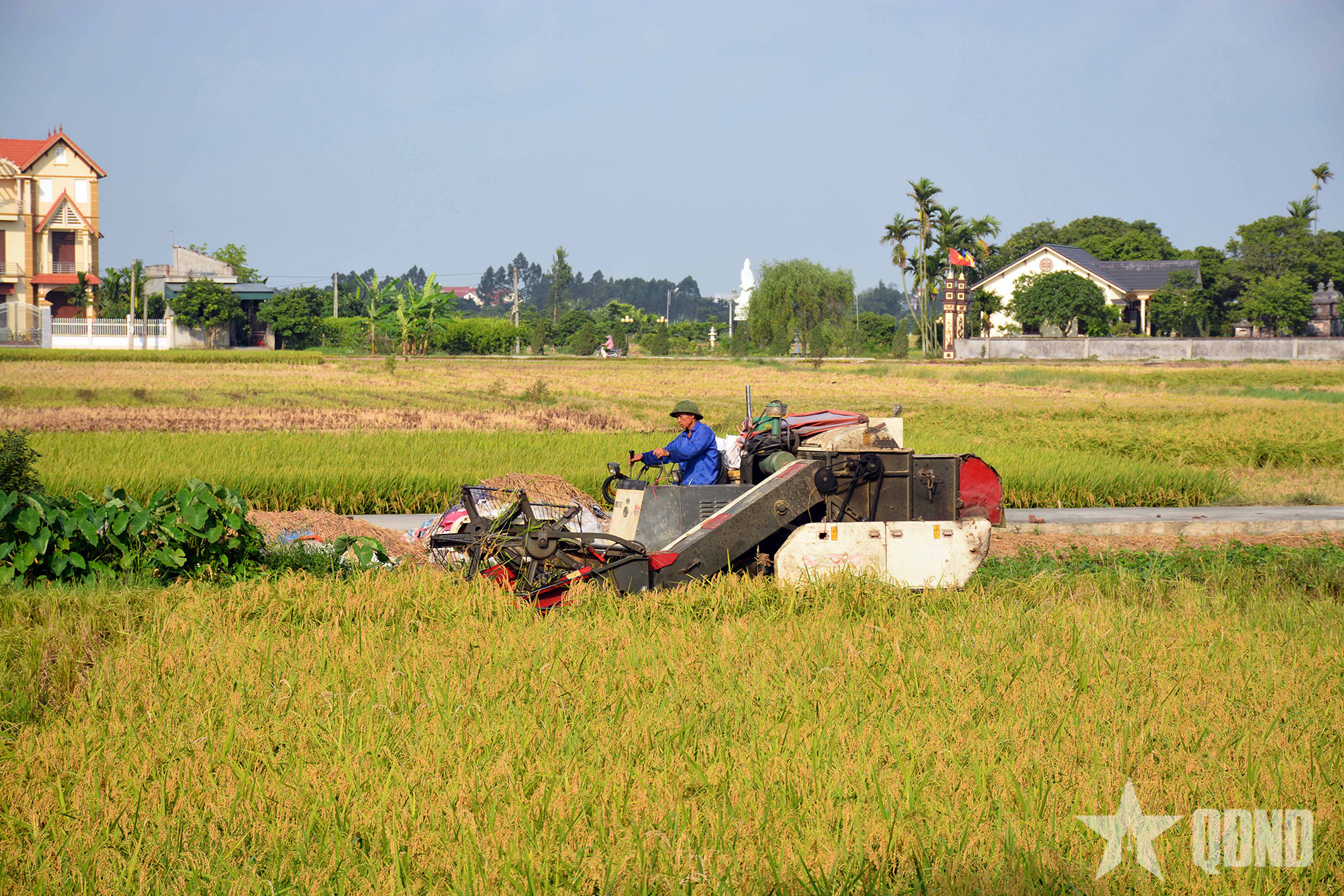 Nông nghiệp vững - Tổ quốc bền