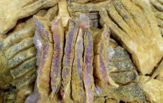 Bộ Y tế cảnh báo nguy cơ ngộ độc với thực phẩm ủ chua, lên men