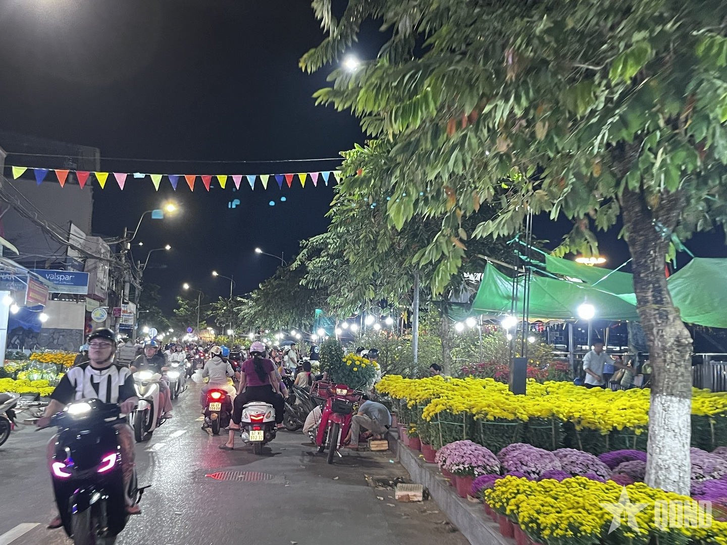 Cần Thơ: Hoa Tết giảm giá mạnh, sức mua tăng tốc giờ chót