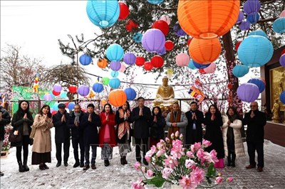 View - 	Thế giới đón Xuân Bính Ngọ 2026