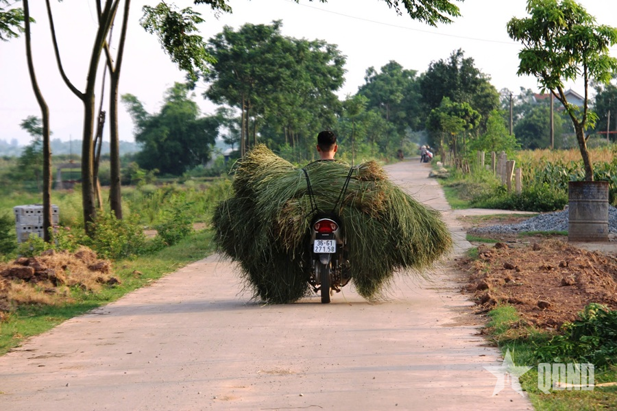 Bước chân lính trẻ trong gió xuân năm cũ Tết xưa
