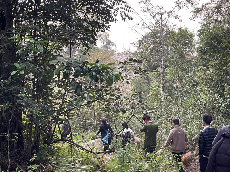 4 du khách bị lạc trong rừng Tây Yên Tử (Bắc Ninh) được tìm thấy
