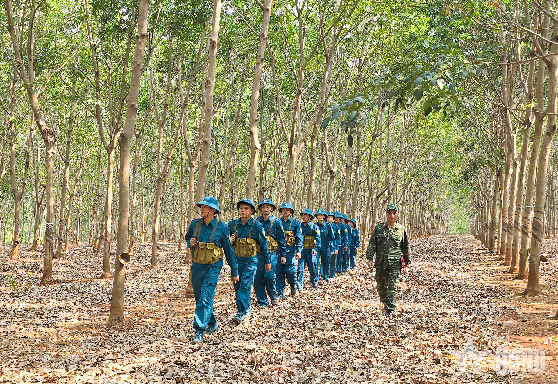 Binh đoàn 15: Xứng danh đơn vị hai lần Anh hùng Lực lượng vũ trang nhân dân