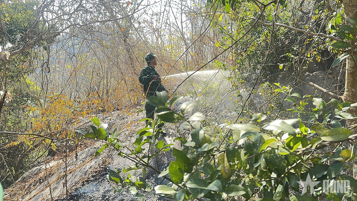 Cháy tại khu vực Núi Tượng (An Giang)