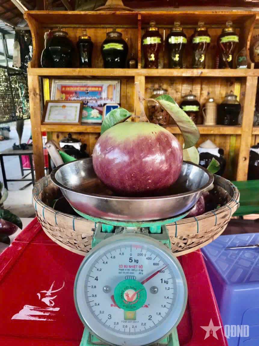 Vườn sinh thái có nhiều cây trái “độc lạ” ở Đồng Tháp