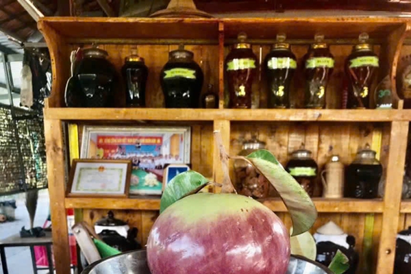 Vườn sinh thái có nhiều cây trái “độc lạ” ở Đồng Tháp