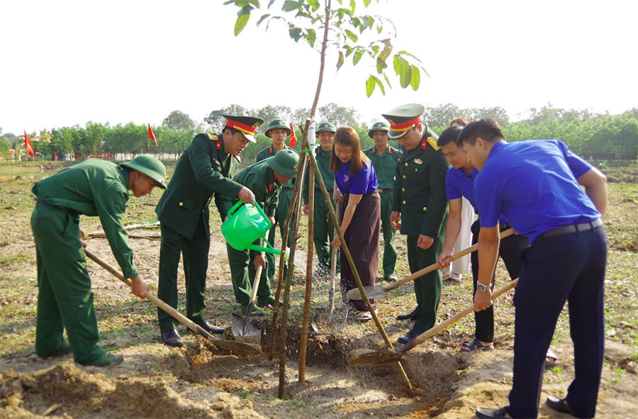 Sư đoàn 968 phát động “Tết trồng cây đời đời nhớ ơn Bác Hồ” Xuân Bính Ngọ 2026