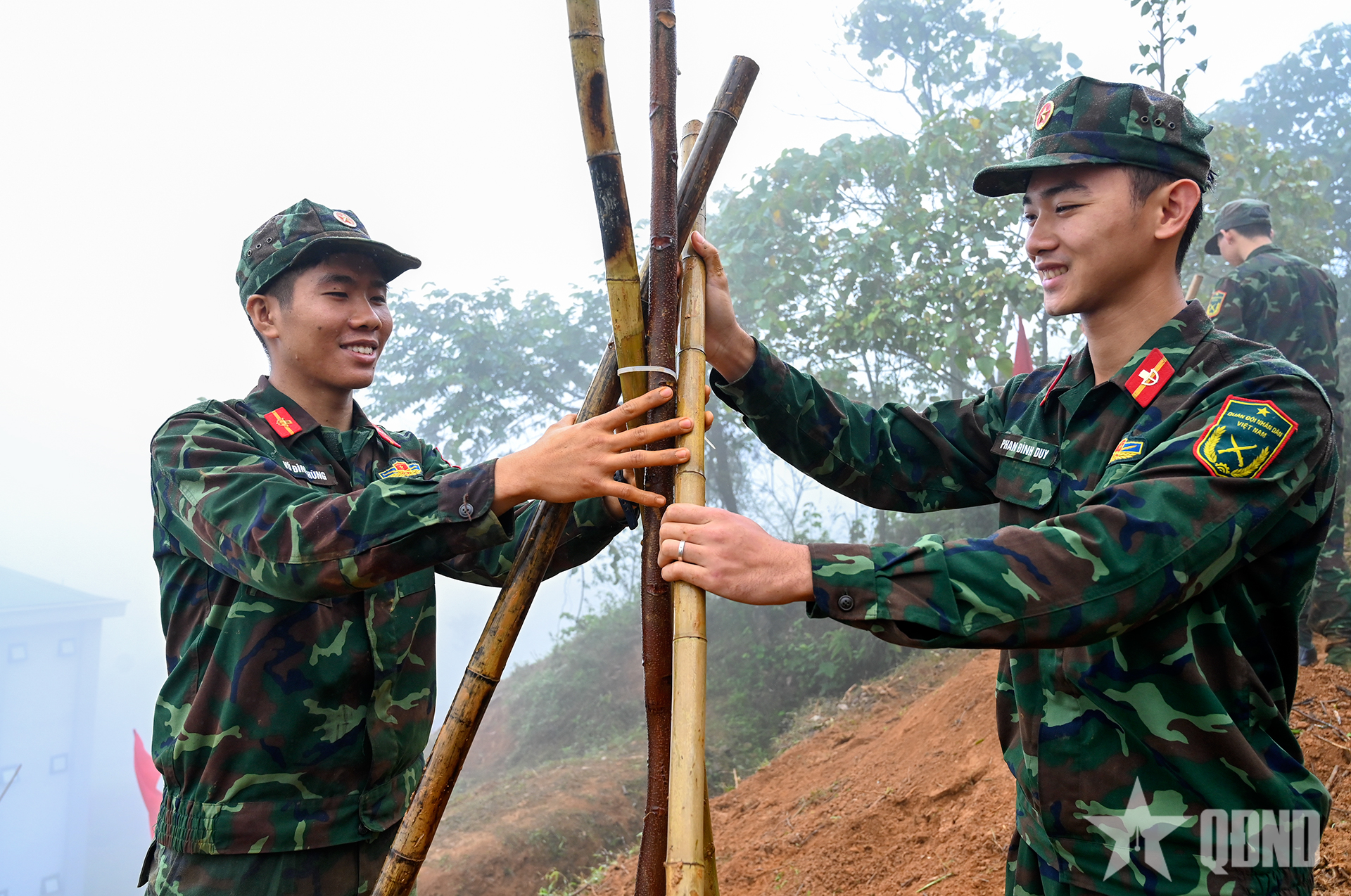 Binh chủng Đặc công sẽ trồng mới hơn 200ha rừng