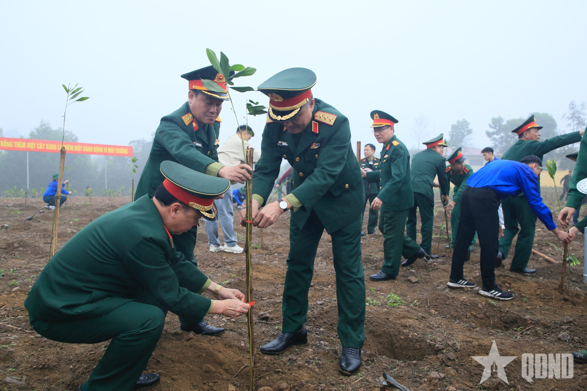 Năm 2026, Tổng cục Hậu cần-Kỹ thuật phấn đấu trồng 206.000 cây xanh
