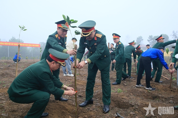 Năm 2026, Tổng cục Hậu cần-Kỹ thuật phấn đấu trồng 206 000 cây xanh