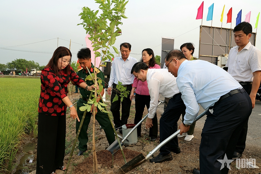 Tết trồng cây: Cần Thơ xanh hơn, đẹp hơn, đáng sống hơn