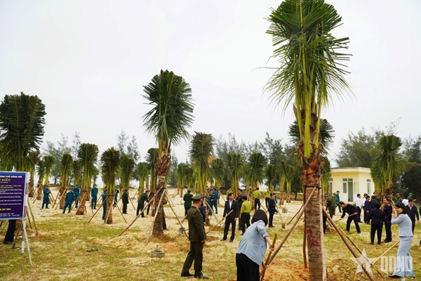 Quảng Trị 22 800ha rừng tập trung, 3,5 triệu cây xanh trồng trong năm 2026