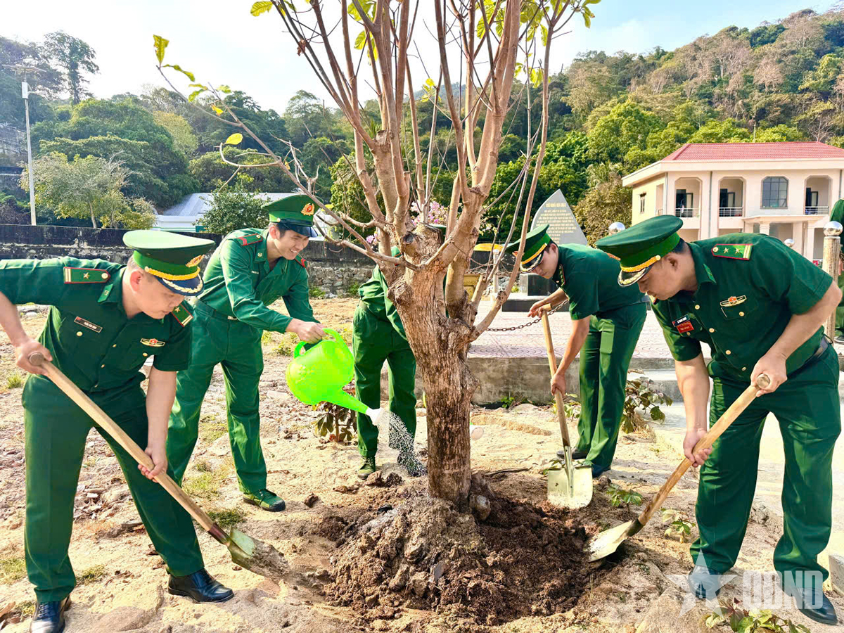 Bộ đội Biên phòng Cà Mau trồng hàng nghìn cây “lá chắn xanh” bảo vệ biên giới biển