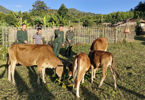 Xuân về nơi vùng cao biên giới Nà Hỳ