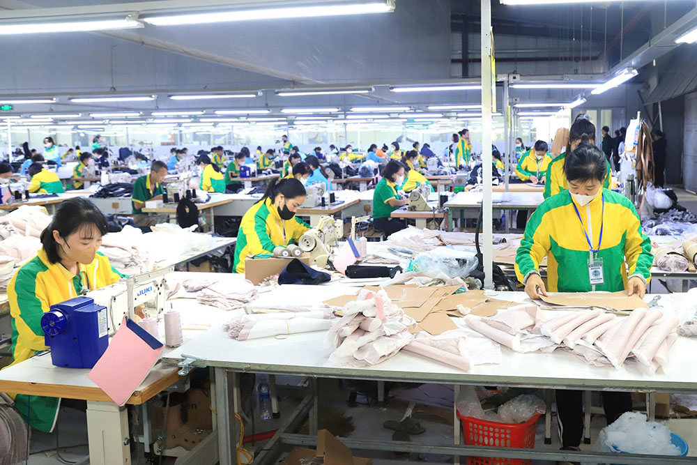 Giữ vững khí thế ra quân, tạo đà hoàn thành thắng lợi nhiệm vụ năm 2026