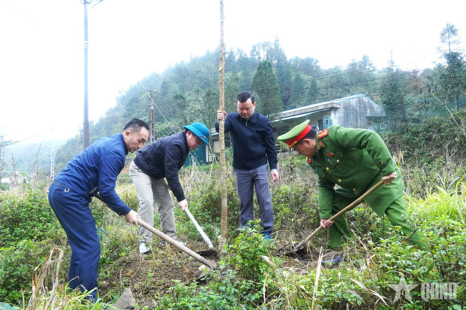 Xã Sơn Vĩ, tỉnh Tuyên Quang trồng hoa mai anh đào tạo cảnh quan biên giới