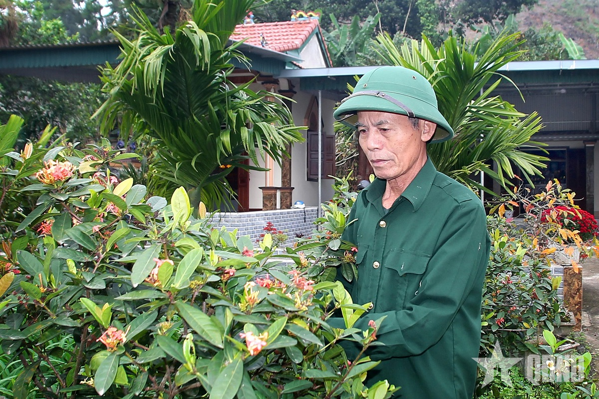 Cựu chiến binh bám rừng làm giàu

​