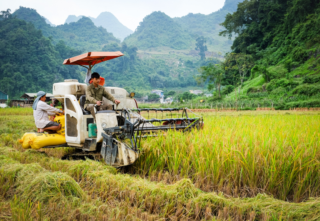 Đảng bộ xã Nguyên Bình (Cao Bằng): Tập trung lãnh đạo thực hiện tốt các mục tiêu phát triển