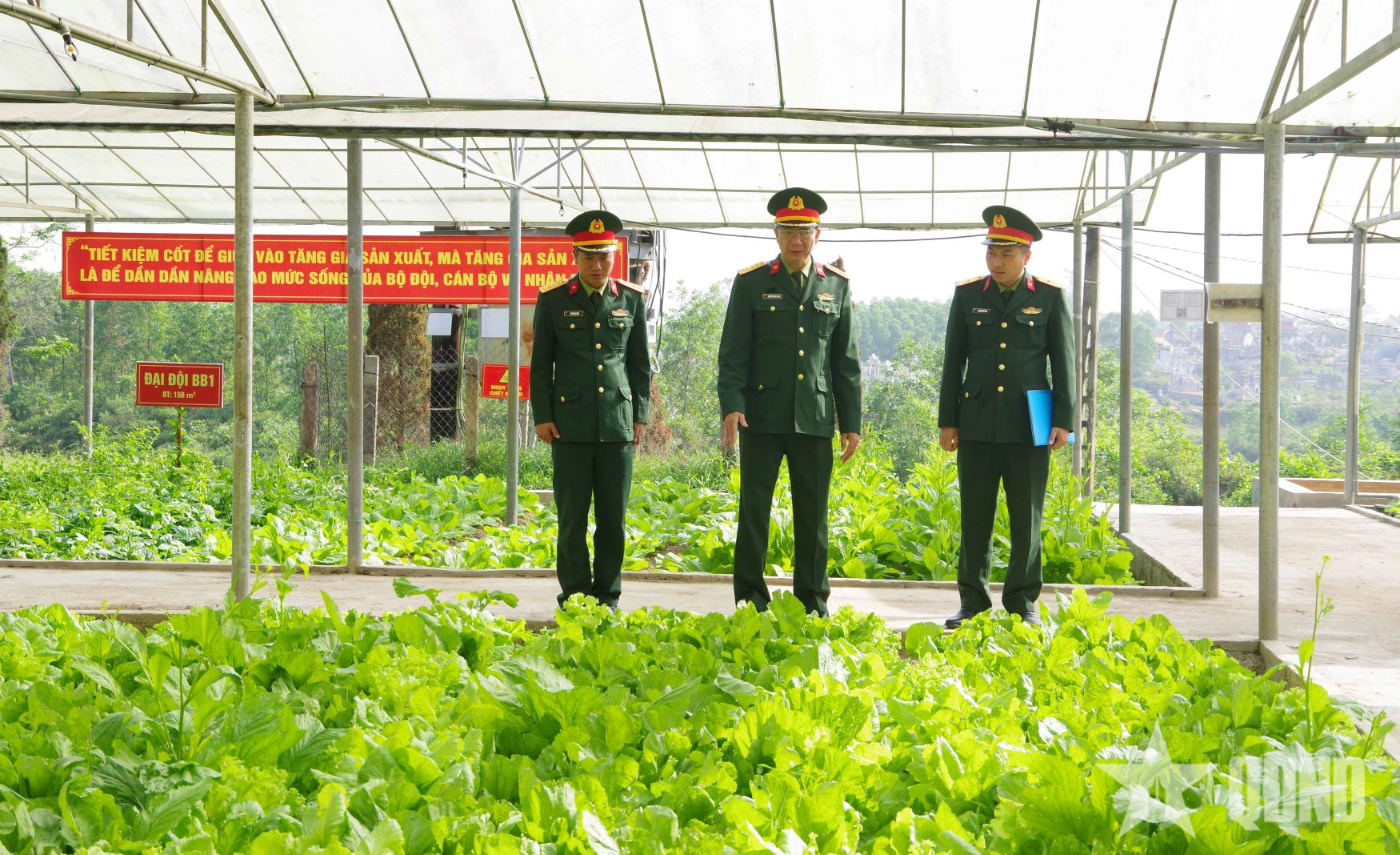 Trung đoàn 6, Bộ Chỉ huy Quân sự TP Huế sẵn sàng tiếp nhận chiến sĩ mới