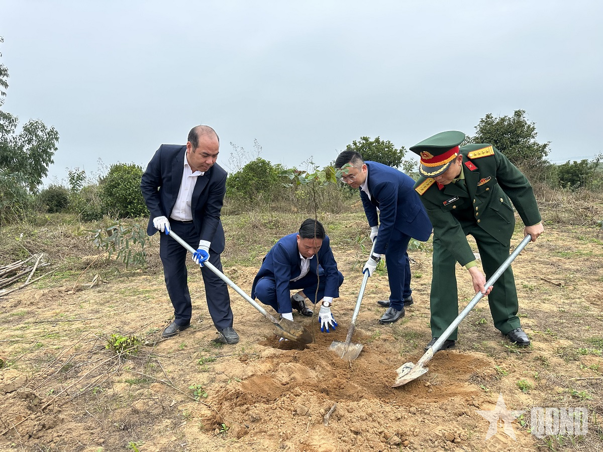 Tầm nhìn xanh cho tương lai đất nước