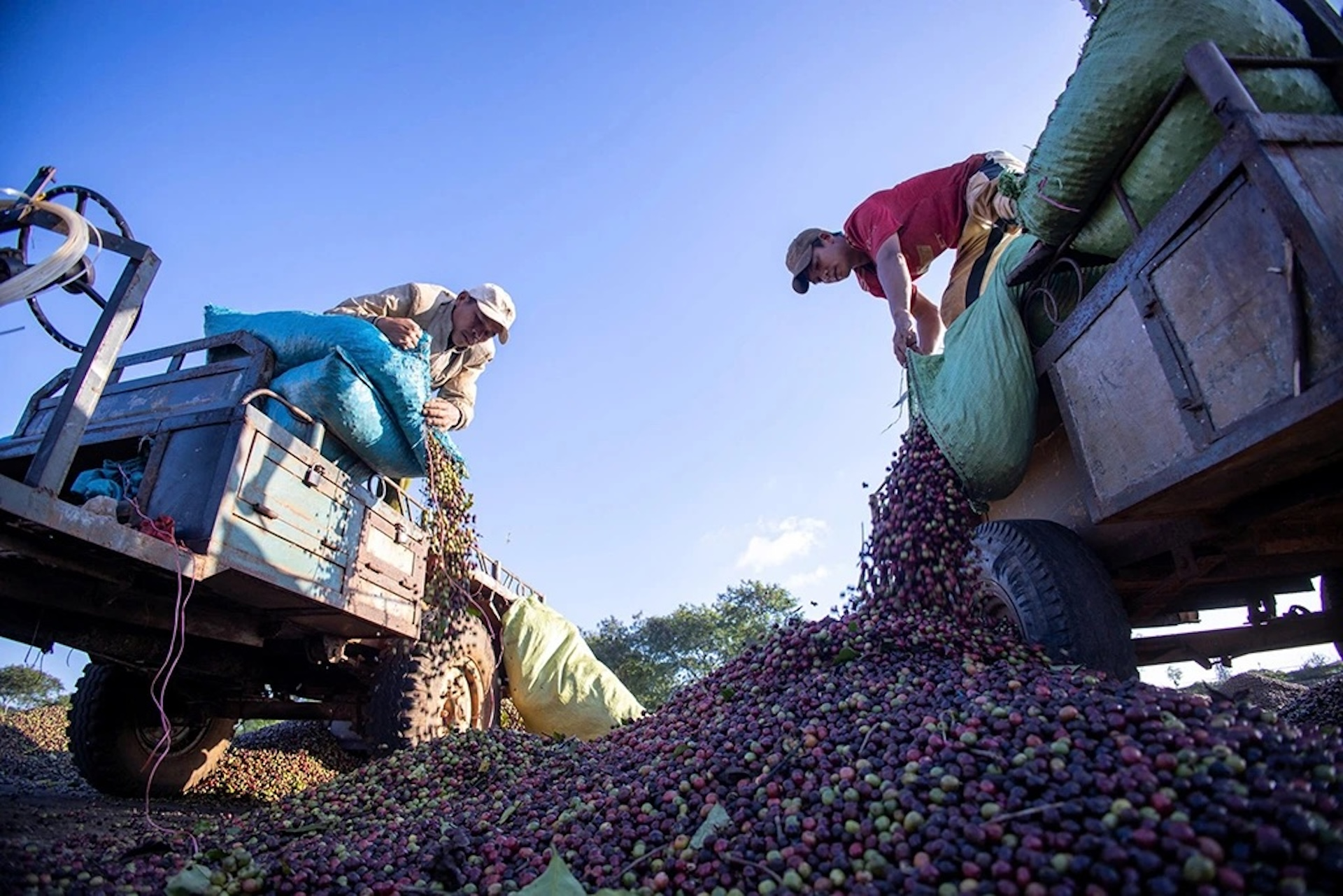 Bộ Công Thương khuyến nghị ứng phó rủi ro xuất nhập khẩu trước căng thẳng Trung Đông