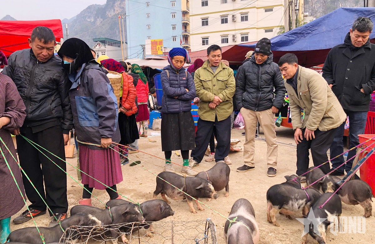 Độc đáo chợ phiên Đồng Văn