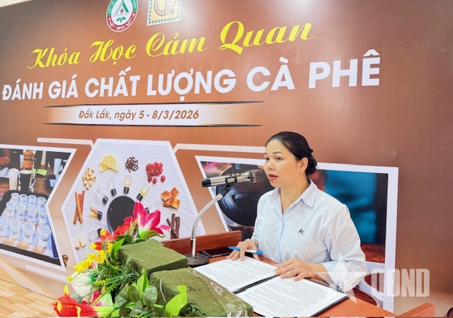  Công ty Cà phê 15 tổ chức khóa học đánh giá chất lượng cà phê