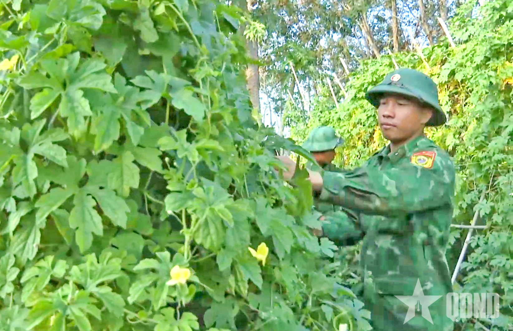 Hiệu quả kép từ công tác tăng gia, chăn nuôi 