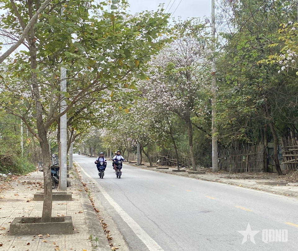 Điện Biên: Phân luồng giao thông phục vụ các hoạt động của Lễ hội Hoa Ban năm 2026