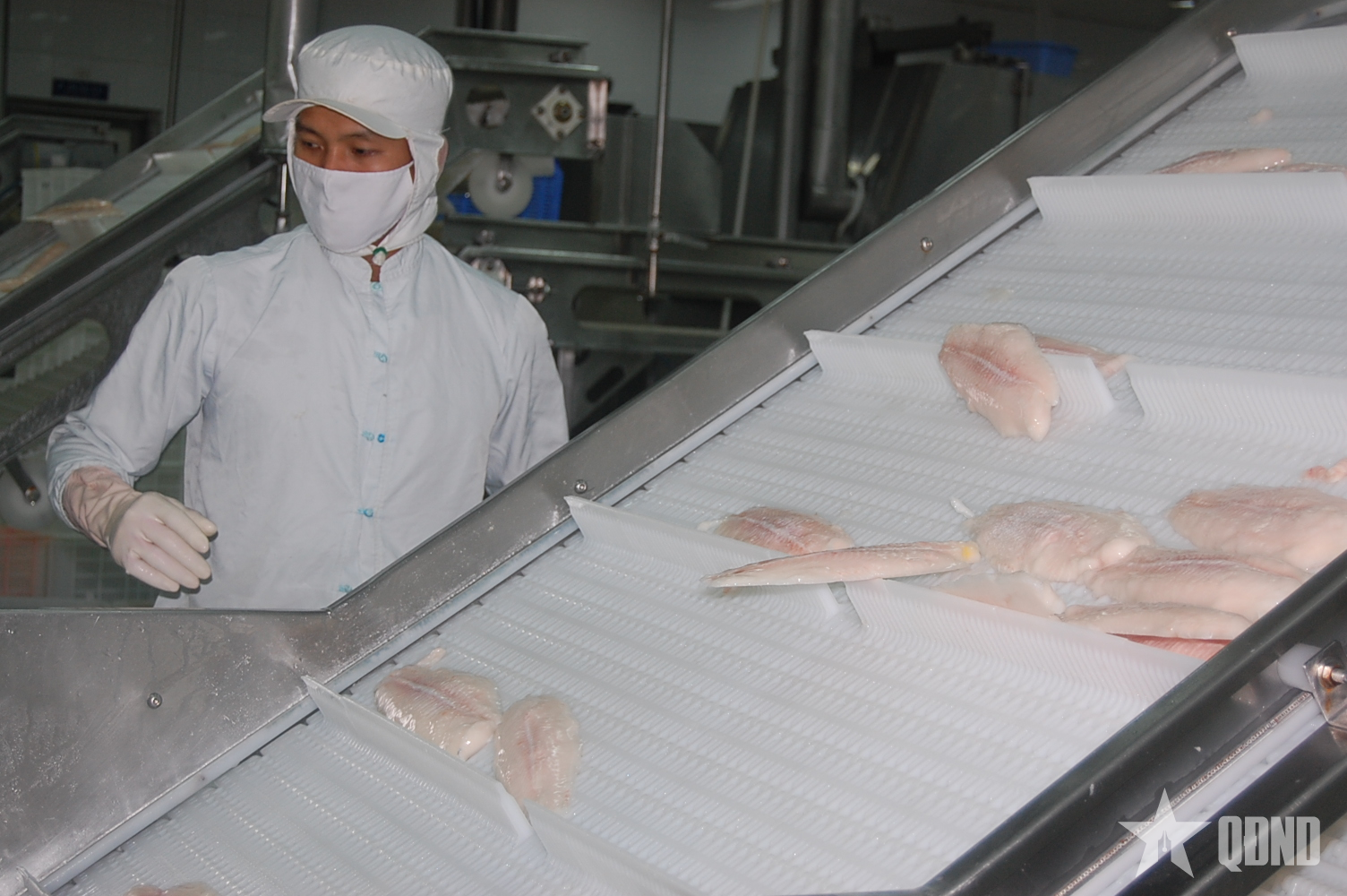 2 tháng đầu năm 2026: Việt Nam xuất khẩu 11,3 tỷ USD sản phẩm nông, lâm, thủy sản