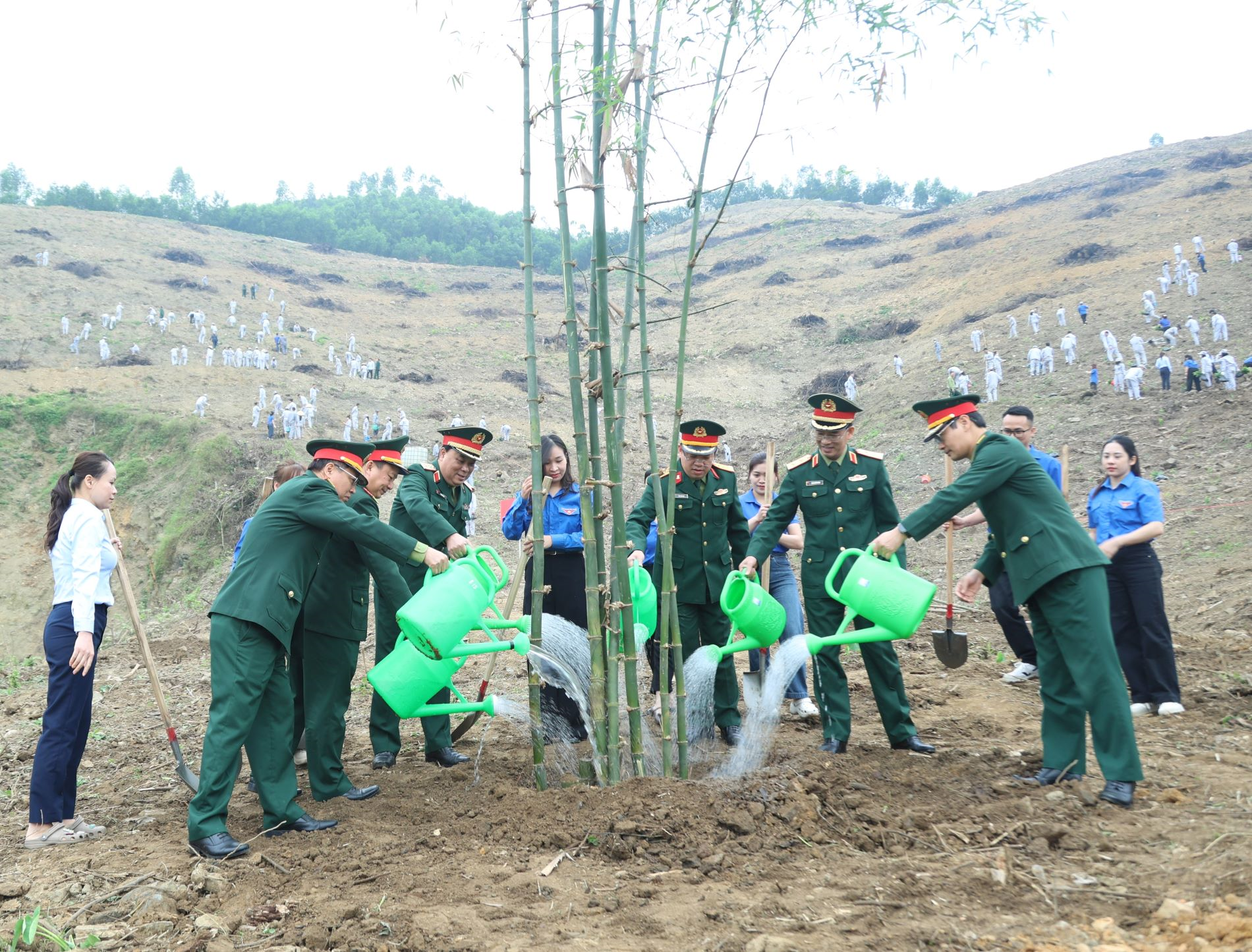 Nhà máy Z113 phát động Tết trồng cây Xuân Bính Ngọ 2026