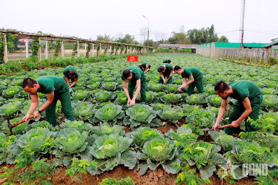 Những ngày đầu ở Trung tâm Huấn luyện 334