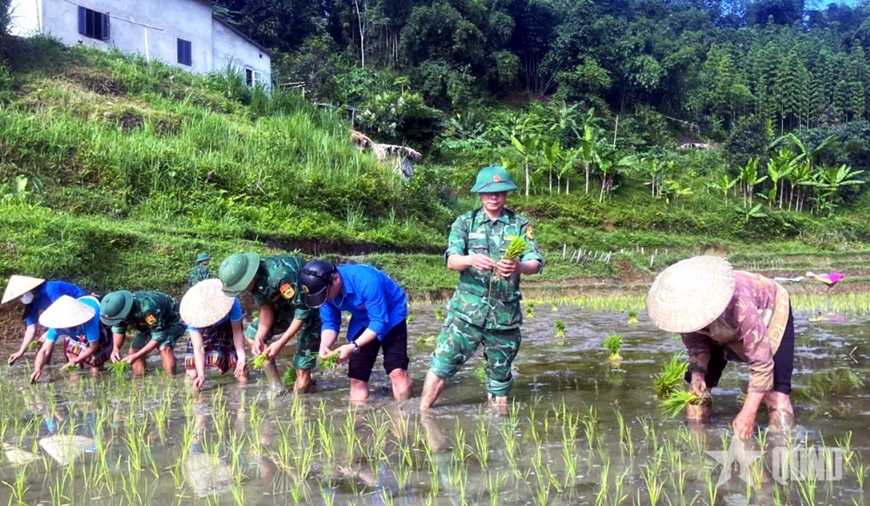 Hiệu quả từ các mô hình giúp dân của Bộ đội Biên phòng Thanh Hóa