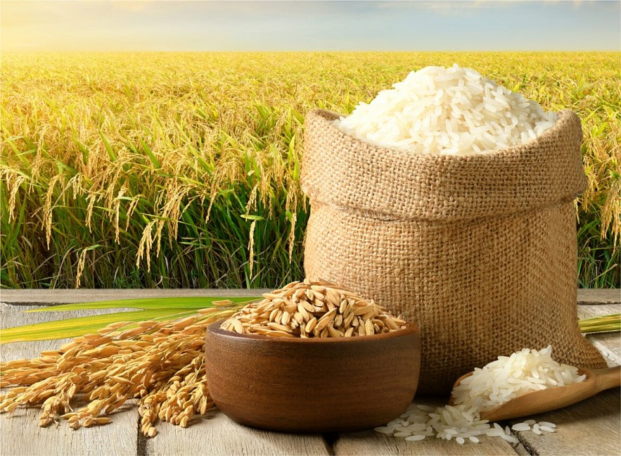 Bản tin nông sản hôm nay (11-3): Giá cà phê, hồ tiêu ổn định, gạo xuất khẩu của Việt Nam giữ giá tốt