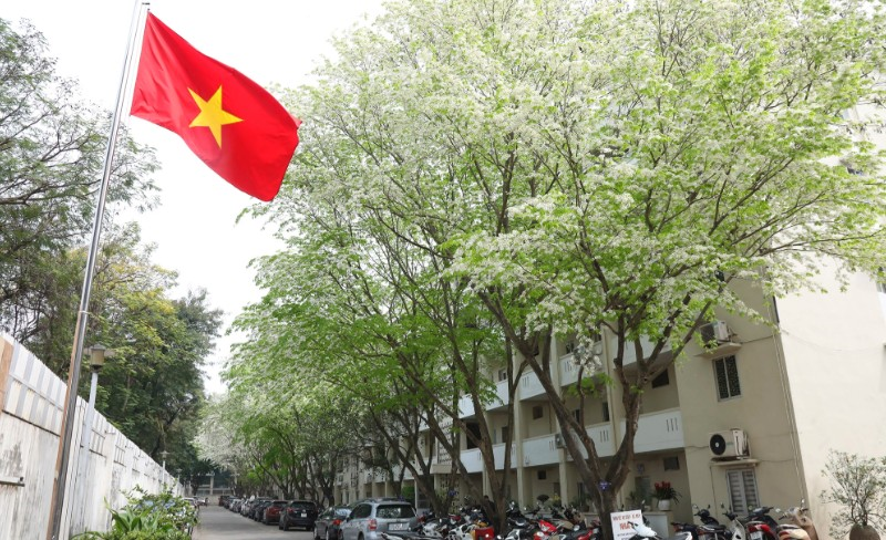 Thời tiết hôm nay (11-3): Miền Bắc rét về đêm và sáng, miền Trung mưa giảm