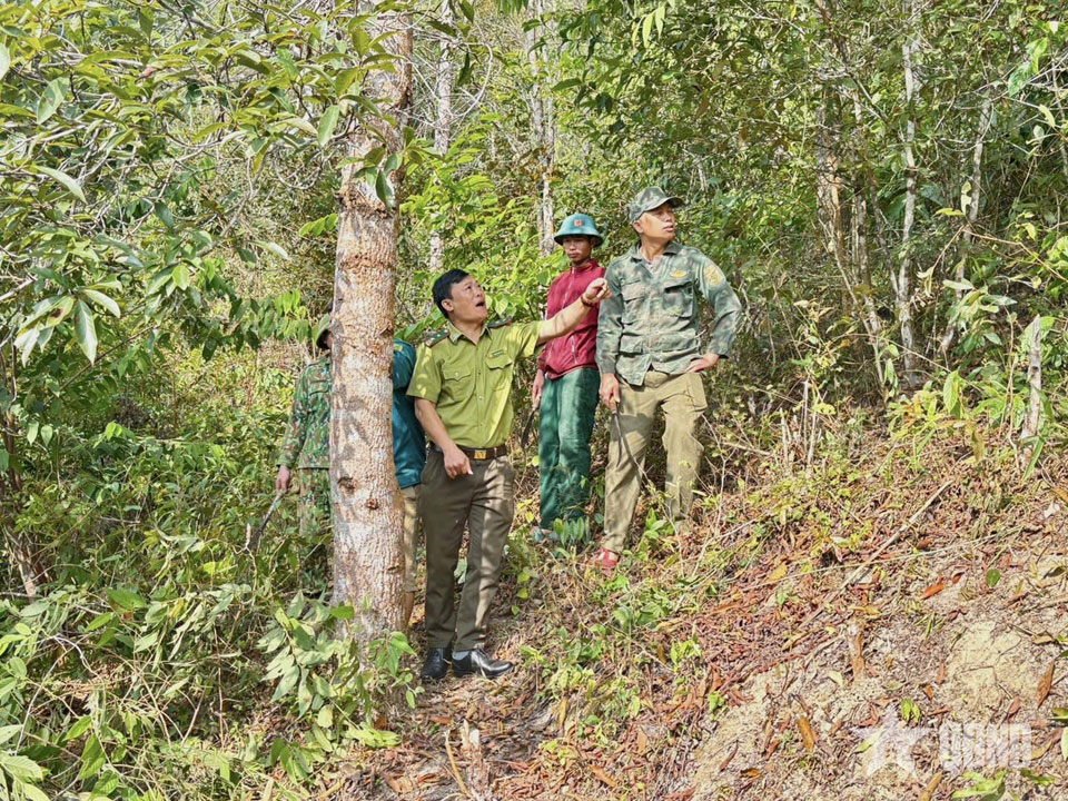 Điện Biên: Nhiều khu vực rừng đang ở nguy cơ cháy nguy hiểm
