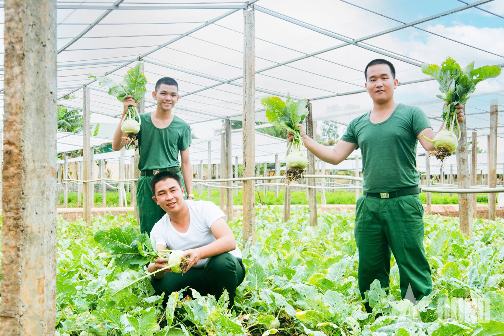 Quân đoàn 34: Sản phẩm đầu tay của chiến sĩ mới