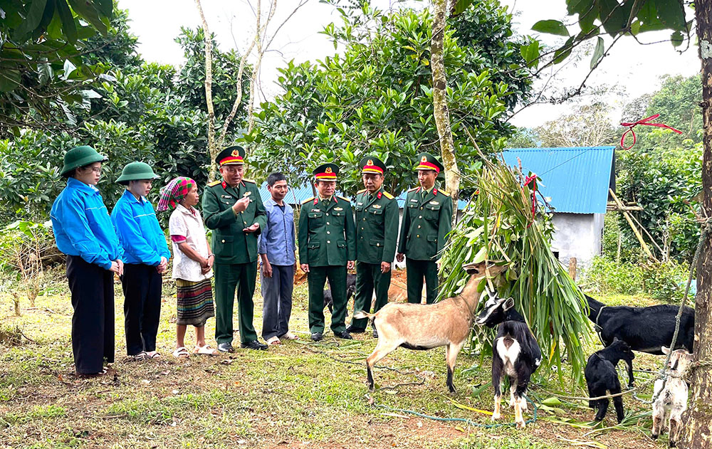 Bộ đội giúp đồng bào vùng biên sinh kế        